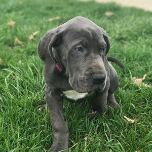 Meet your Posher, Viktorija